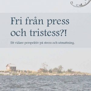 Boris Salo: Fri från press och tristess?!