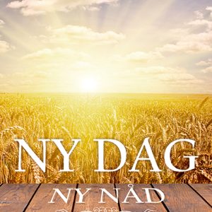 Erik Vikström: Ny dag Ny nåd