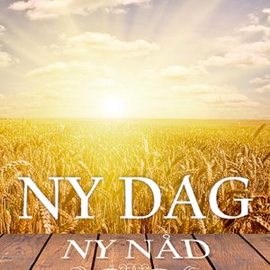 Erik Vikström: Ny dag Ny nåd